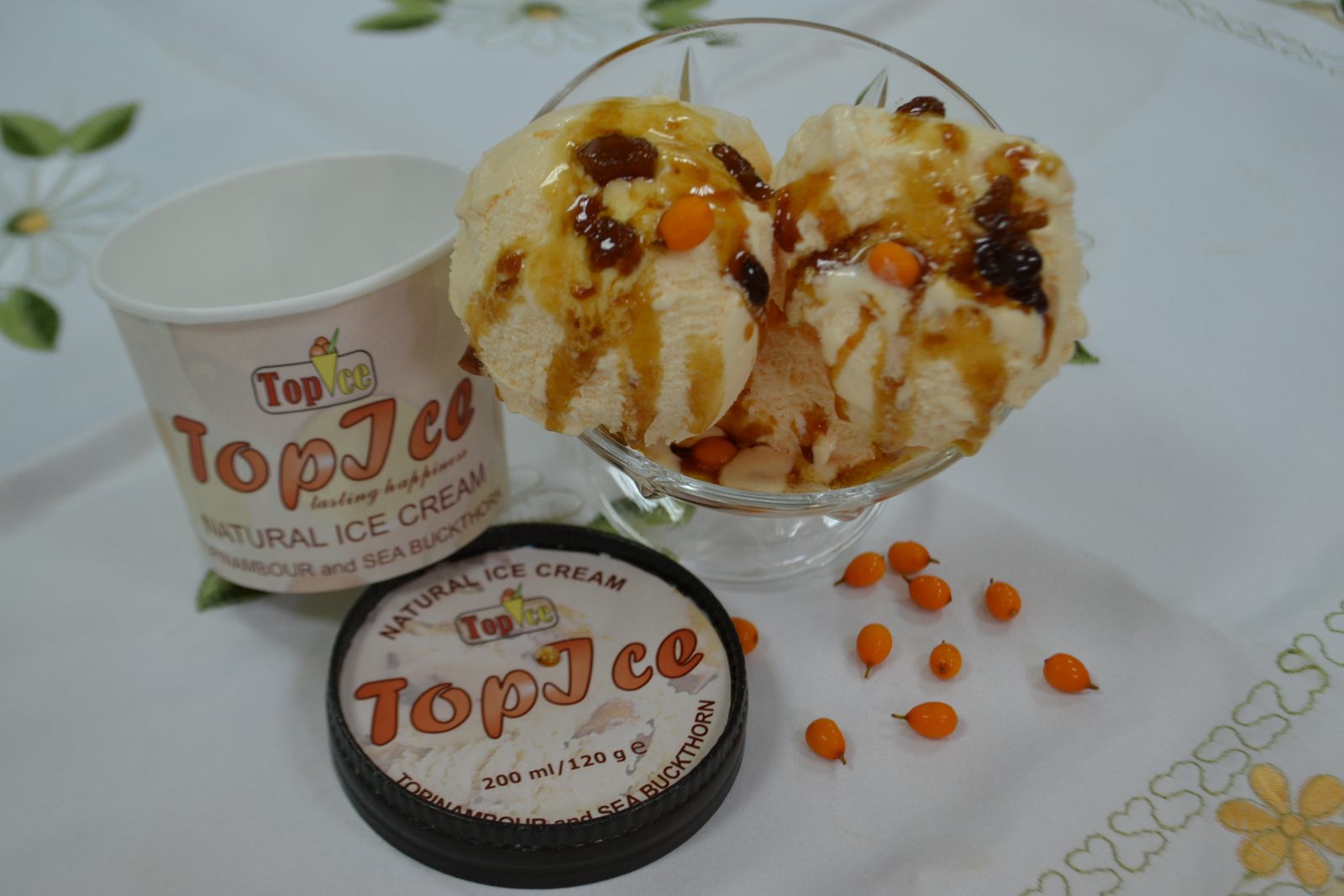 TopIce — înghețata funcțională cu topinambur și cătină, ARGINT la ECOTROPHELIA Europe 2014