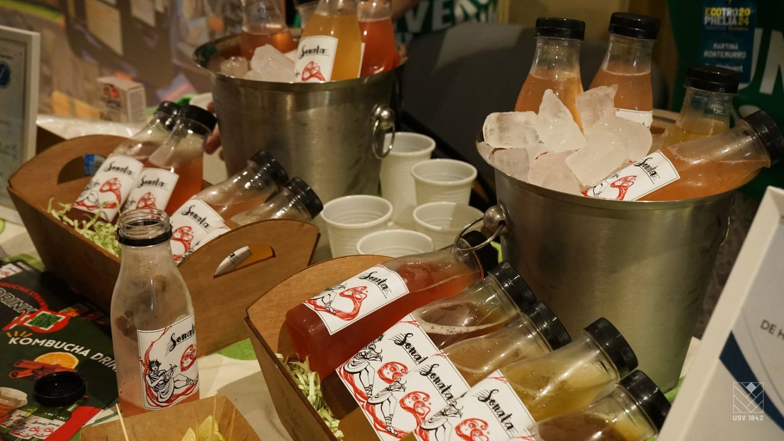 Sticle cu băutura kombucha Sonata, pregătite la gheață pentru degustare